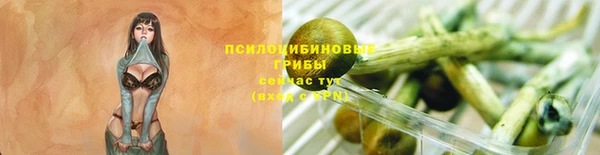 скорость Алзамай