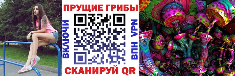 Псилоцибиновые грибы мухоморы omg онион Сурск